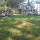 *Por calor y problemas en aires acondicionados, en algunos planteles como COBAEV 18 de Coatzacoalcos, alumnos no se concentran en las clases*