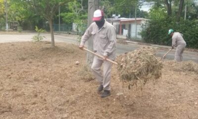 Gobierno de Minatitlán realiza jornadas permanentes de limpieza