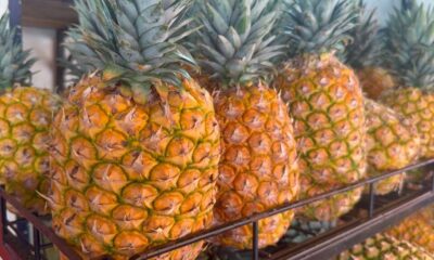 *En Coatzacoalcos aumentó la venta de piña de Ciudad Isla, Veracruz. Las altas temperaturas han provocado que la gente busque esta fruta*