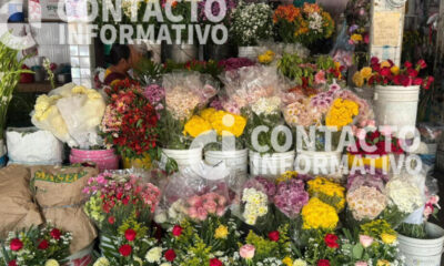 (+VIDEO) Floristas esperan repunte en ventas por celebración del Día de las Madres