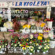 (+VIDEO) Floristas esperan repunte en ventas por celebración del Día de las Madres