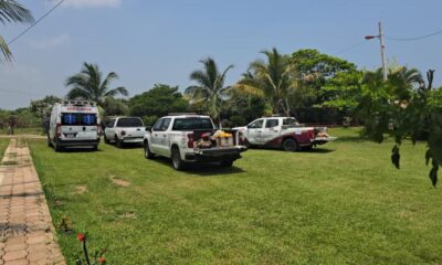 Abejas atacan a vecinos en el ejido Colorado de Coatzacoalcos, un perro murió a causa de las picaduras y 5 personas presentaron lesiones