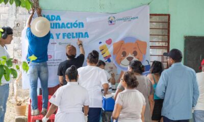 Inicia en Cosoleacaque la Jornada de Vacunación Antirrábica Canina y Felina 2026