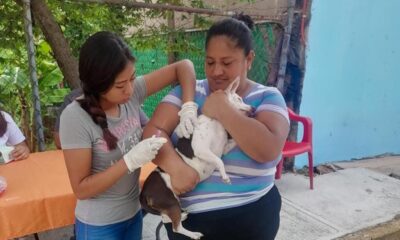 ¡Cosoleacaque responde con responsabilidad y amor por sus mascotas!