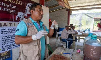 Minatitlán fortalece al sector ganadero con acciones preventivas