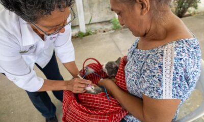 Minatitlán refuerza acciones de vacunación antirrábica