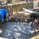 Minatitlán fortalece el cuidado y preservación de especies