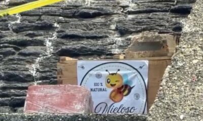 *Se forma otra colmena en la pirámide del malecón de Coatzacoalcos, nuevamente abejas se instalaron en las escaleras*