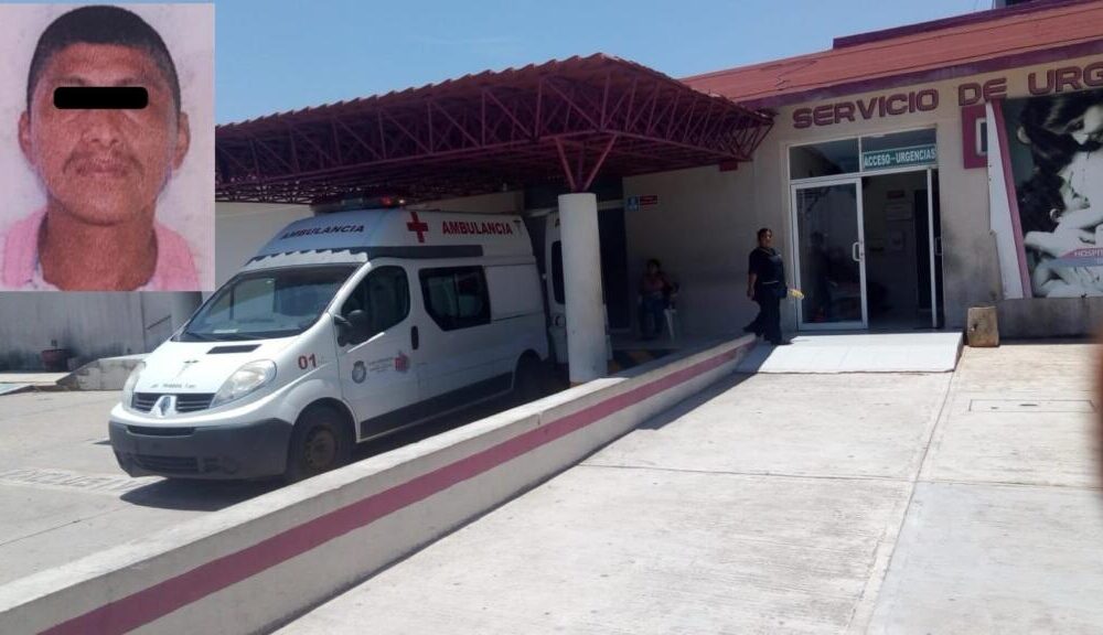 Una nauyaca sacó de su escondite a homicida de autodefensas en Las Choapas.