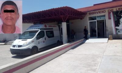 Una nauyaca sacó de su escondite a homicida de autodefensas en Las Choapas.