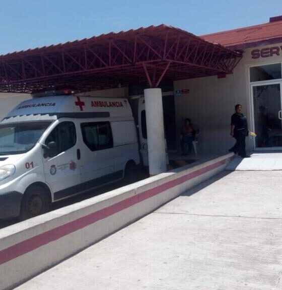Una nauyaca sacó de su escondite a homicida de autodefensas en Las Choapas.