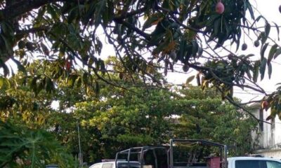 Muere joven tras ser atacado a balazos en la colonia Héroe de Nacozari