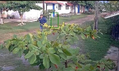 Detienen a presunto ladrón tras persecución en la colonia Trópico de la Rivera en Coatzacoalcos