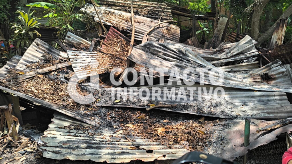 (+VIDEO) Rayo le arrebata su patrimonio en Minatitlán; adulta mayor pide ayuda para reconstruir su hogar