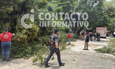 (+VÍDEO)  Prevén más lluvias y vientos en Minatitlán; Protección Civil pide prevenir riesgos por caída de árboles