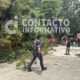 (+VÍDEO)  Prevén más lluvias y vientos en Minatitlán; Protección Civil pide prevenir riesgos por caída de árboles