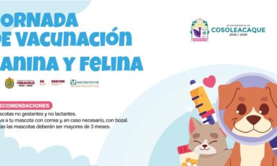Les comparto la lista de las jornadas de vacunación caninas y felinas.