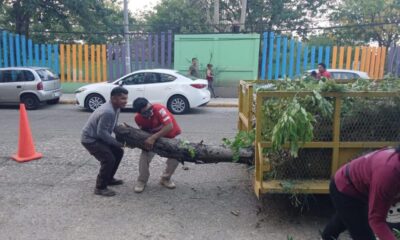 Minatitlán avanza con el mantenimiento de áreas verdes