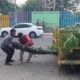 Minatitlán avanza con el mantenimiento de áreas verdes