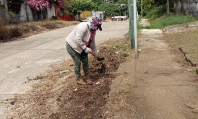 Continúan labores de mantenimiento en áreas públicas