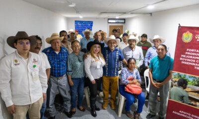 Entregan apoyos para la adquisición de sementales bovinos en Minatitlán