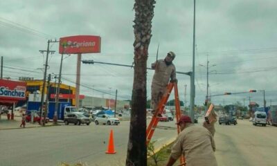 Gobierno de Minatitlán continúa con labores de limpieza
