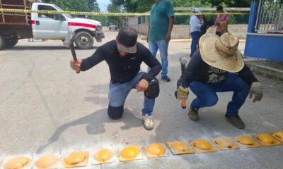 Gobierno Municipal refuerza el orden vehicular