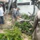 Gobierno de Minatitlán atiende los efectos de las lluvias