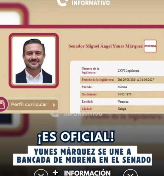¡Es oficial! Yunes Márquez se une a bancada de Morena en el Senado