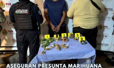 Aseguran presunta marihuana y detienen a hombre tras operativo en el ejido Tacoteno