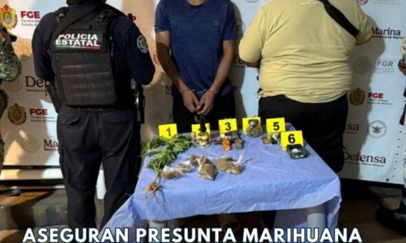 Aseguran presunta marihuana y detienen a hombre tras operativo en el ejido Tacoteno
