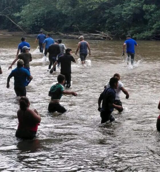 Buzos descienden más de 60 metros en cenote; búsqueda de Erasto continúa sin resultados