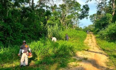 Dan mantenimiento a área verde de Xochitonapa para mejorar espacios públicos en Jáltipan