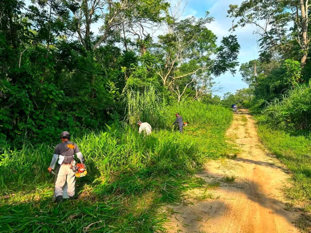 Dan mantenimiento a área verde de Xochitonapa para mejorar espacios públicos en Jáltipan
