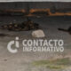 ¡Alerta en Minatitlán! Investigan presunto envenenamiento masivo de gatos en la colonia Buenavista Sur
