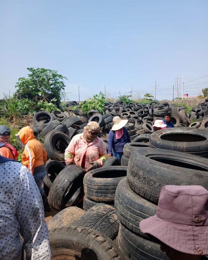 Más de mil 300 llantas en desuso son enviadas a reciclaje para reducir contaminación en Coatzacoalcos