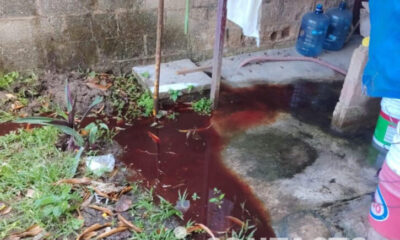 Vecinos denuncian que agua con sangre vuelve a salir de los drenajes en la Benito Juárez; acusan que proviene del rastro municipal