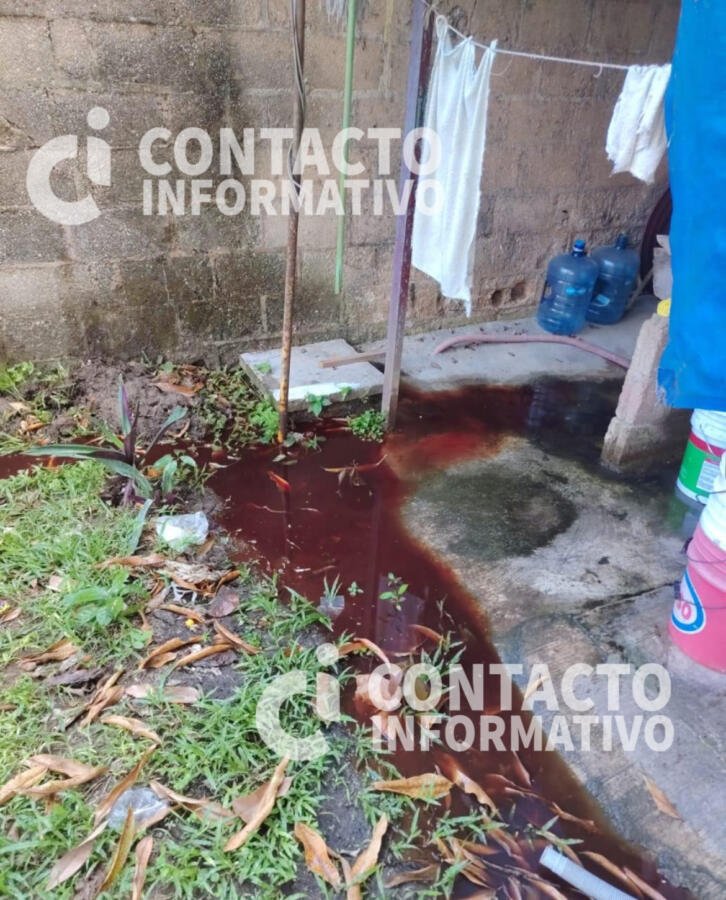 Vecinos denuncian que agua con sangre vuelve a salir de los drenajes en la Benito Juárez; acusan que proviene del rastro municipal