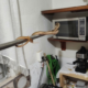 Encuentran serpiente dentro de una casa y moviliza a cuerpos de emergencia en Minatitlán