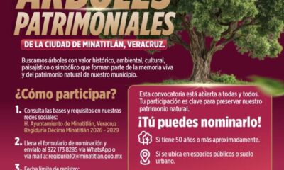 🌳 Tu participación puede dejar huella en la historia de Minatitlán