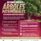 🌳 Tu participación puede dejar huella en la historia de Minatitlán