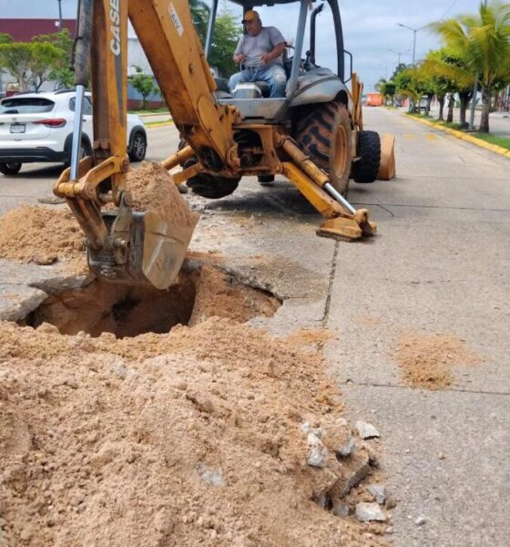 Atienden red de drenaje para mejorar el servicio en la colonia Petrolera