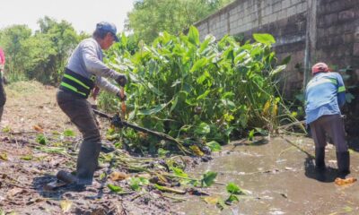 Gobierno de la Unidad continúa con labores de limpieza en arroyos