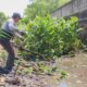 Gobierno de la Unidad continúa con labores de limpieza en arroyos
