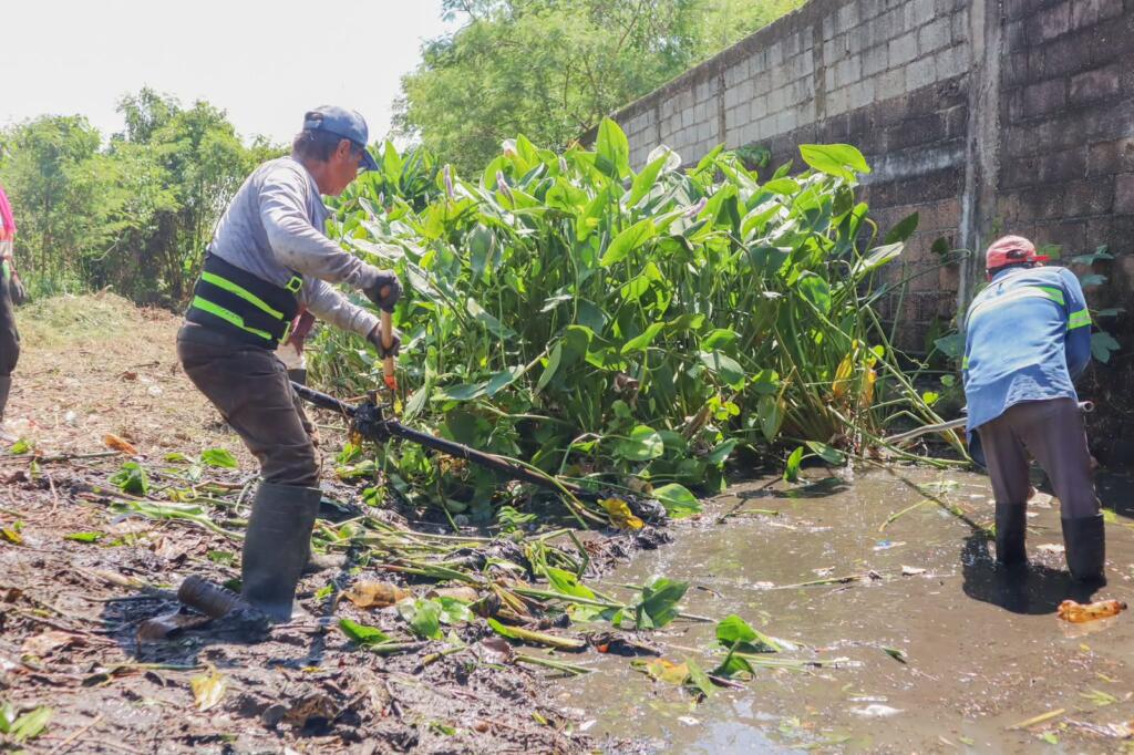 Gobierno de la Unidad continúa con labores de limpieza en arroyos