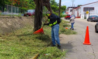 Se realizan labores de embellecimiento en camellones