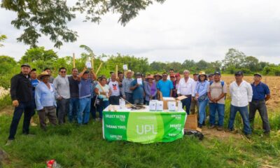 Minatitlán refuerza el control del gusano cogollero en cultivos de maíz