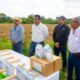 Minatitlán refuerza el control del gusano cogollero en cultivos de maíz