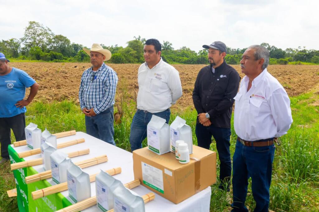 Minatitlán refuerza el control del gusano cogollero en cultivos de maíz