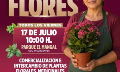🌿 Vive la experiencia del Mercado de las Flores